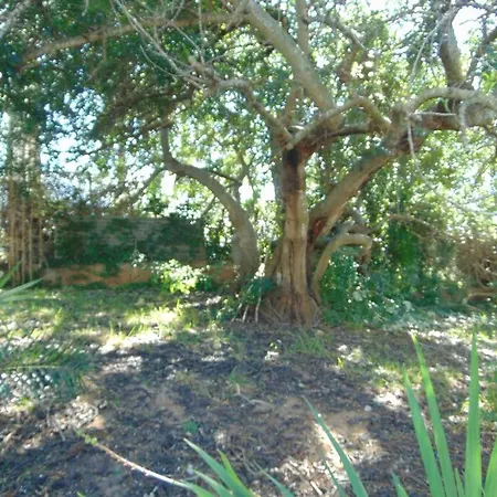 Vila Finlandia - Countryside With A Pool Apartment Faro